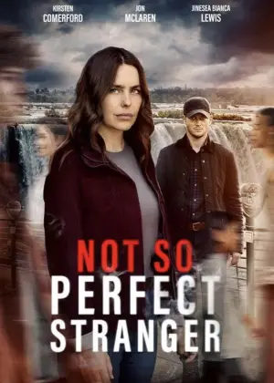 Poster to the movie "Not So Perfect Stranger" #594561