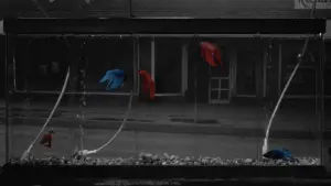 Backdrop to the movie "Rumble Fish" #720941