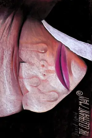 Poster to the movie "The Elephant Man" #681258