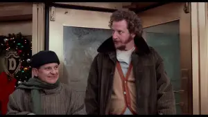 Backdrop to the movie "Home Alone 2: Lost in New York" #567189