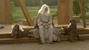 Backdrop to the movie "Evan Almighty" #318615