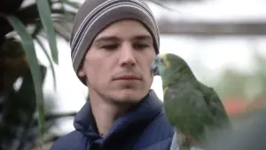 Backdrop to the movie "Mozart and the Whale" #395223