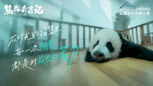 Backdrop to the movie "The Panda Adventure" #774037