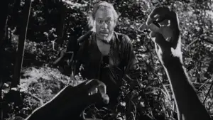 Backdrop to the movie "Rashomon" #701968