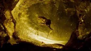 Backdrop to the movie "Jurassic Park" #598020