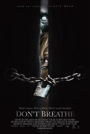 Poster to the movie "Don