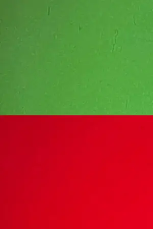 Movie poster "Tortured Dust Part 4"