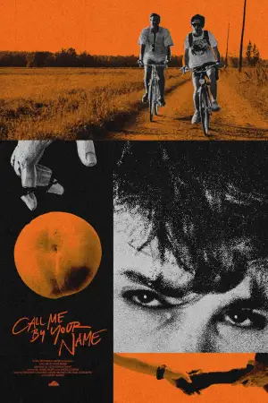 Poster to the movie "Call Me by Your Name" #800043