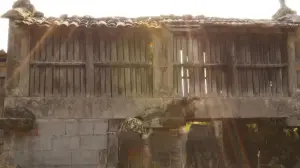 Backdrop to the movie "Aurora" #409949