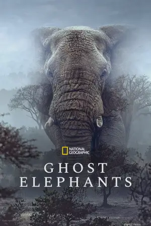 Poster to the movie "Ghost Elephants" #764755