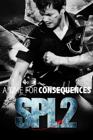 Poster to the movie "SPL 2: A Time for Consequences" #147889