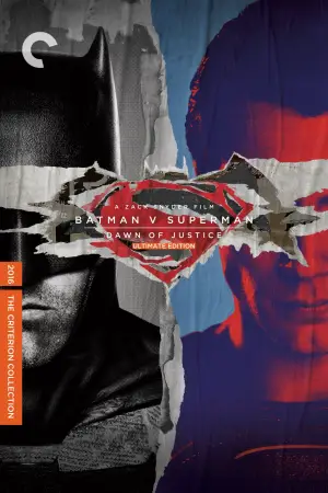 Poster to the movie "Batman v Superman: Dawn of Justice" #566148