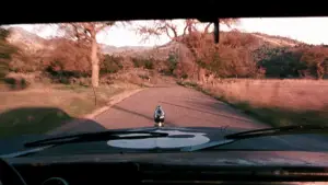 Backdrop to the movie "Death Proof" #655782