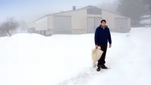 Backdrop to the movie "Only the Animals" #392059