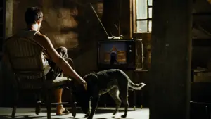 Backdrop to the movie "The Incredible Hulk" #769582