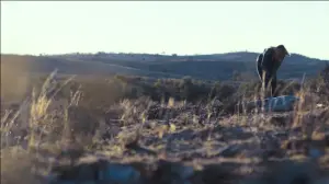 Backdrop to the movie "Outback" #408965