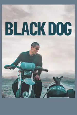 Poster to the movie "Black Dog" #600746
