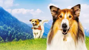 Backdrop to the movie "Lassie: A New Adventure" #760301