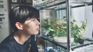 Backdrop to the movie "No Matter What, I Love You" #784620