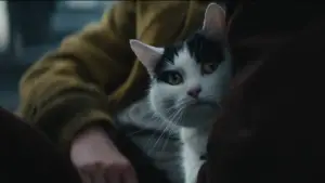 Backdrop to the movie "A Quiet Place: Day One" #563298