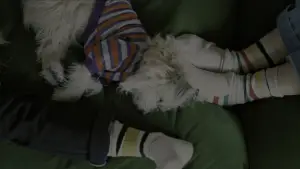 Backdrop to the movie "Come See Me in the Good Light" #783488