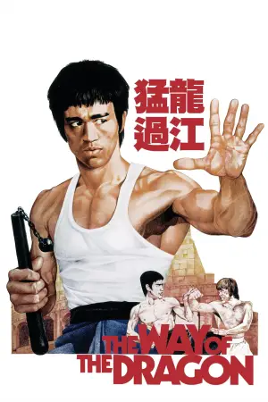 Poster to the movie "The Way of the Dragon" #745729