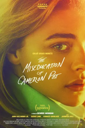 Poster to the movie "The Miseducation of Cameron Post" #151575