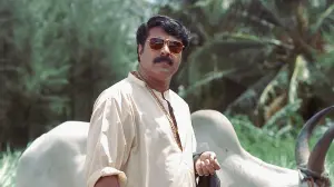 Backdrop to the movie "Rajamanikyam" #447406