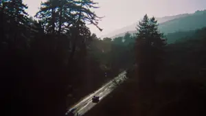 Backdrop to the movie "The Graduate" #801907