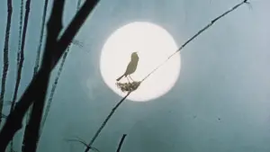 Backdrop to the movie "The Emperor