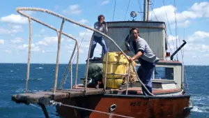 Backdrop to the movie "Jaws" #521048