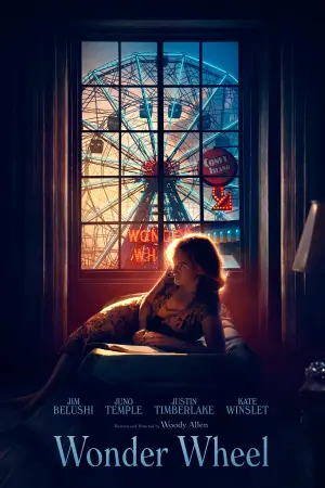 Poster to the movie "Wonder Wheel" #134182