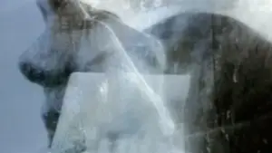 Backdrop to the movie "Souvenir" #715366