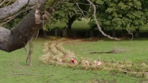 Backdrop to the movie "Spooky Buddies" #428680