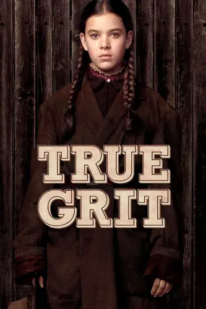 Poster to the movie "True Grit" #640490