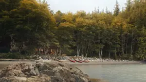 Backdrop to the movie "A Hero