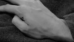 Backdrop to the movie "Psycho" #798833