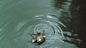 Backdrop to the movie "Che: Part Two" #745123