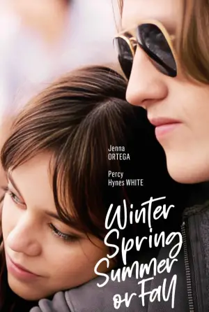 Poster to the movie "Winter Spring Summer or Fall" #612987