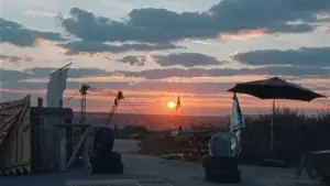 Backdrop to the movie "Leaning on the tree" #541438