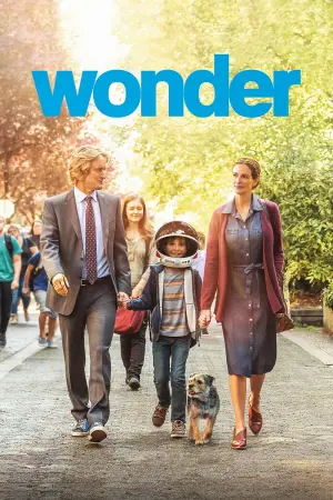 Poster to the movie "Wonder" #72310