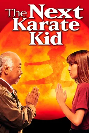 Poster to the movie "The Next Karate Kid" #63668