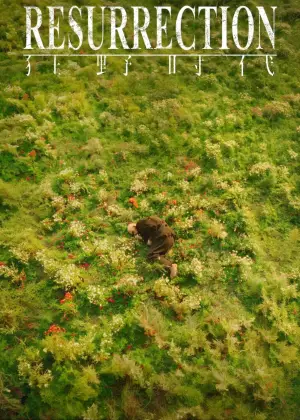 Poster to the movie "Resurrection" #528754