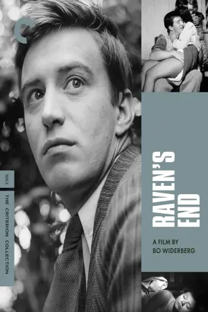 Poster to the movie "Raven