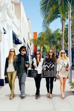 Poster to the movie "The Bling Ring" #873499
