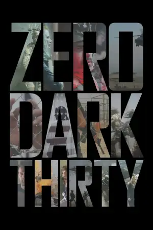 Poster to the movie "Zero Dark Thirty" #855135