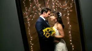 Backdrop to the movie "Elevator Girl" #498202