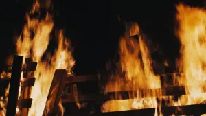 Backdrop to the movie "Pioneers" #715784