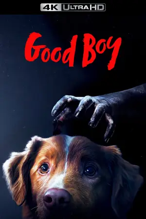 Poster to the movie "Good Boy" #770397