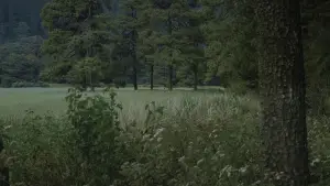 Backdrop to the movie "Para atrapar el viento" #539083